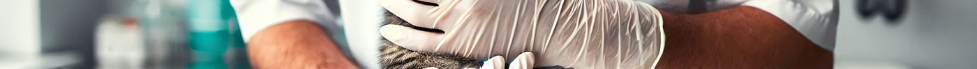Top 10 Nitrile Gloves for 2024: Best Options for Veterinary Clinics